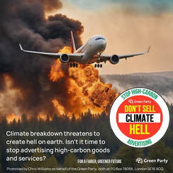 Passenger jet flies through forest fire